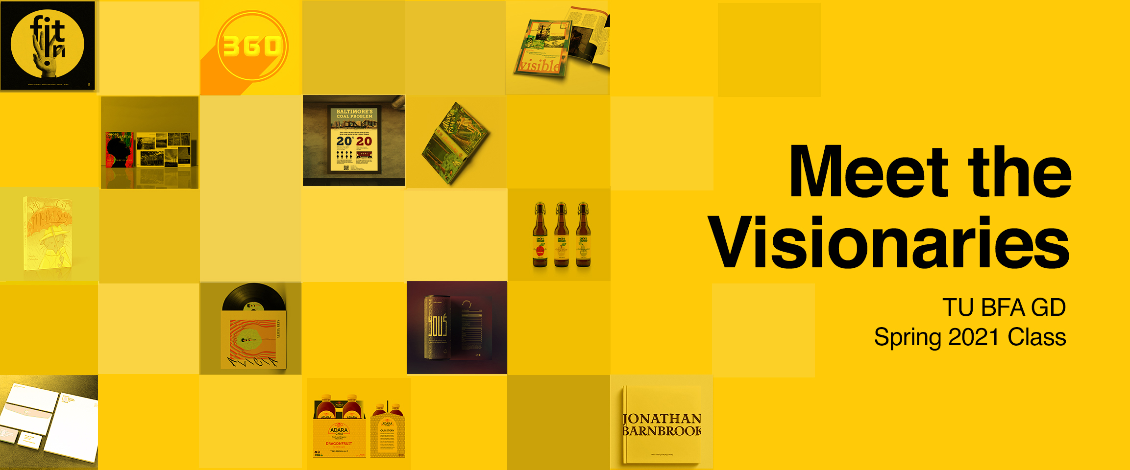 Opening graphic: Meet the Visionaries